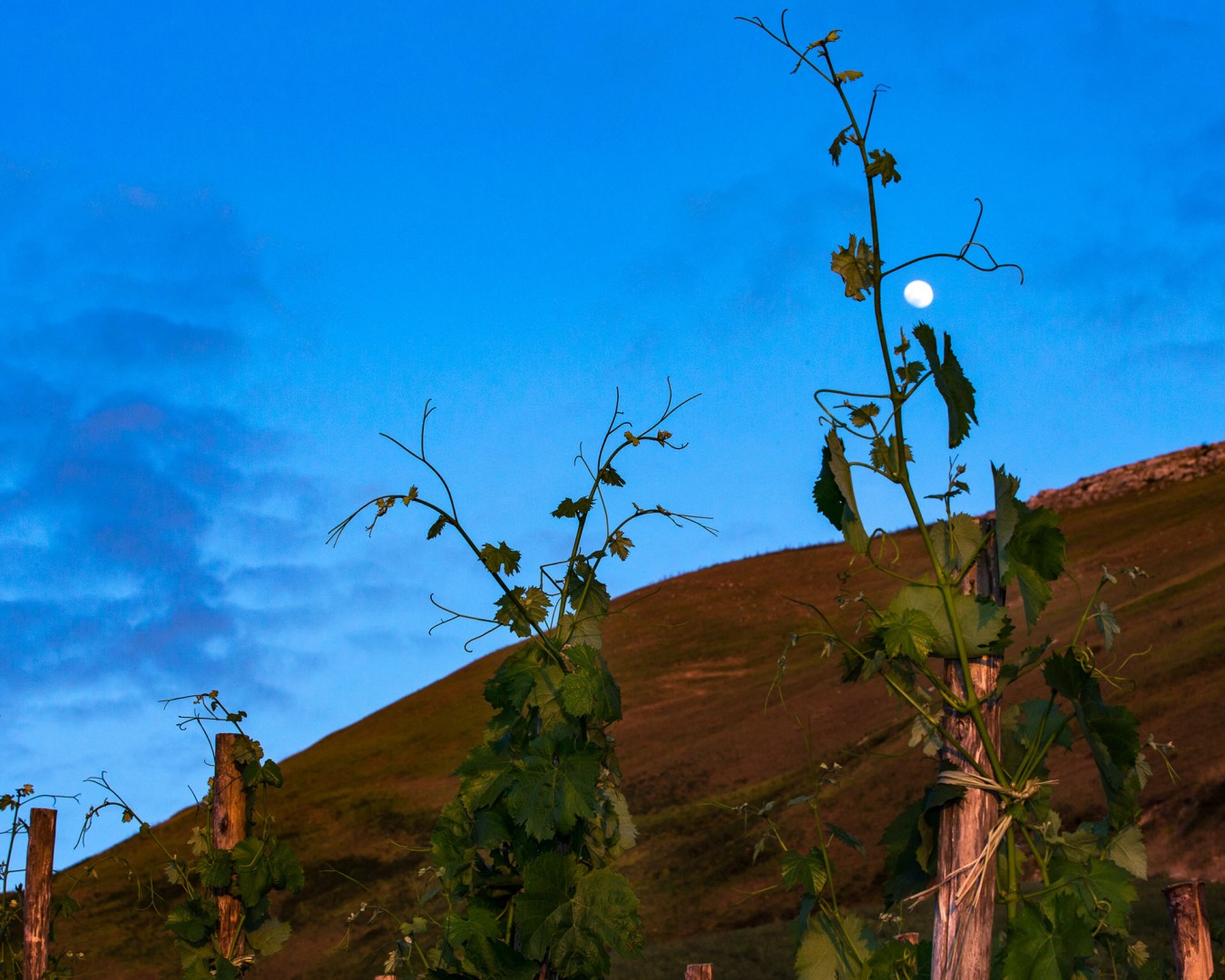 Reportage e Landscape fotografico Libera Terra - Sicilia Giugno 2017 - Ph © GIORGIO SALVATORI - nella foto Portella della Ginestra