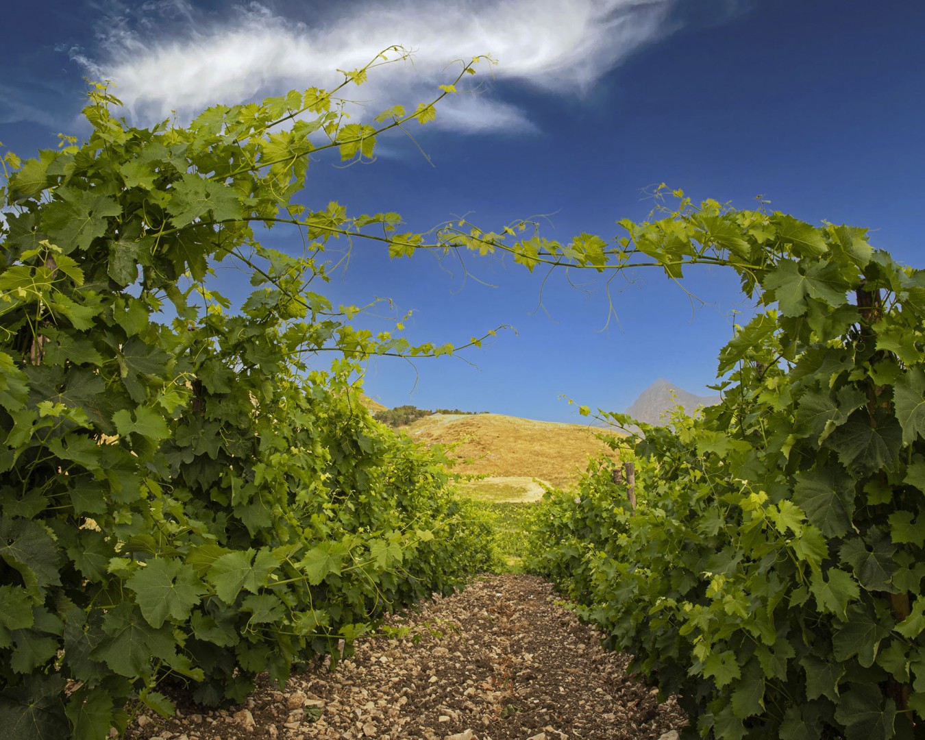 Pietre a Purtedda da Ginestra_55