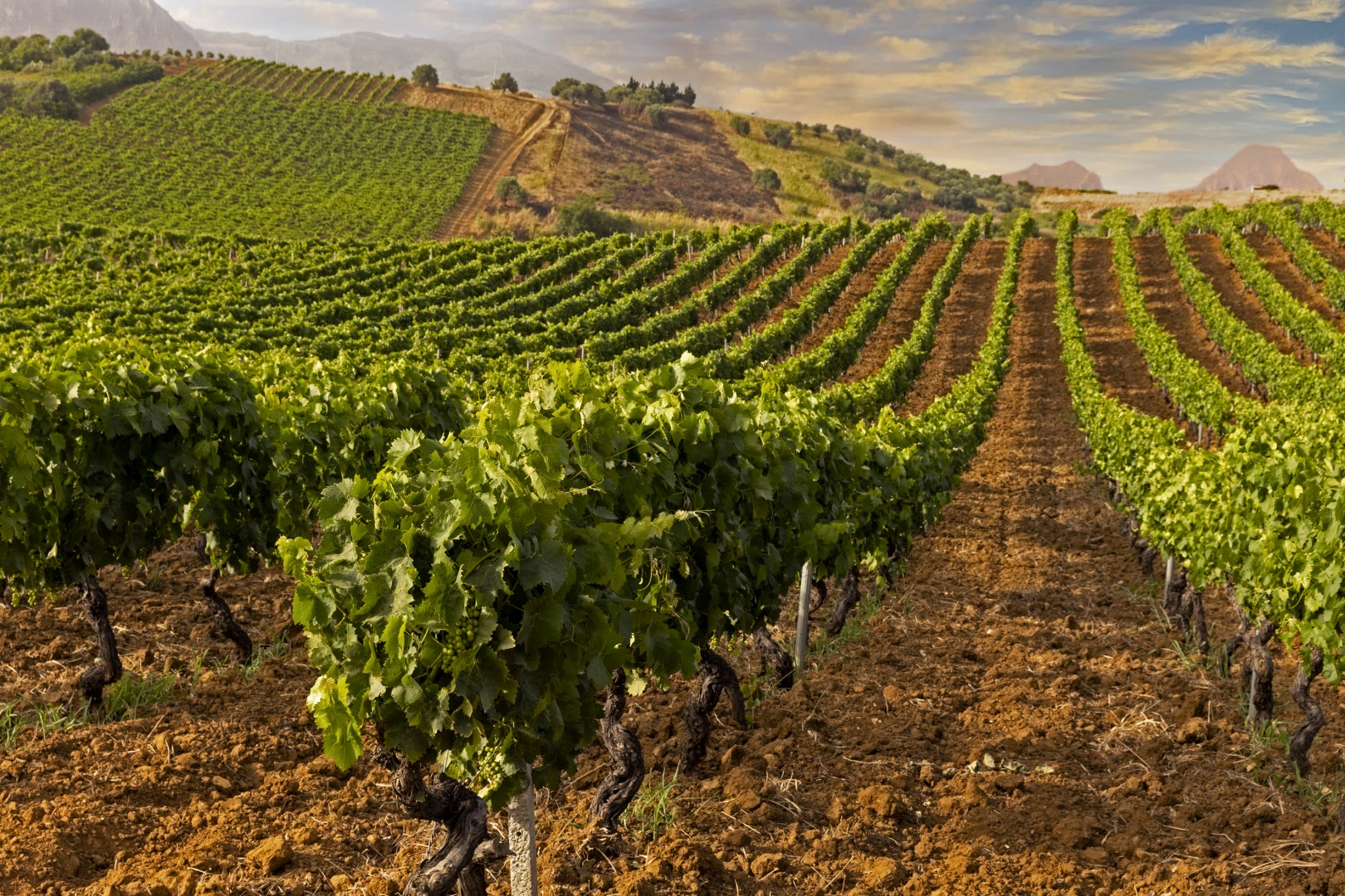 Terre rosse di Giabbascio_104