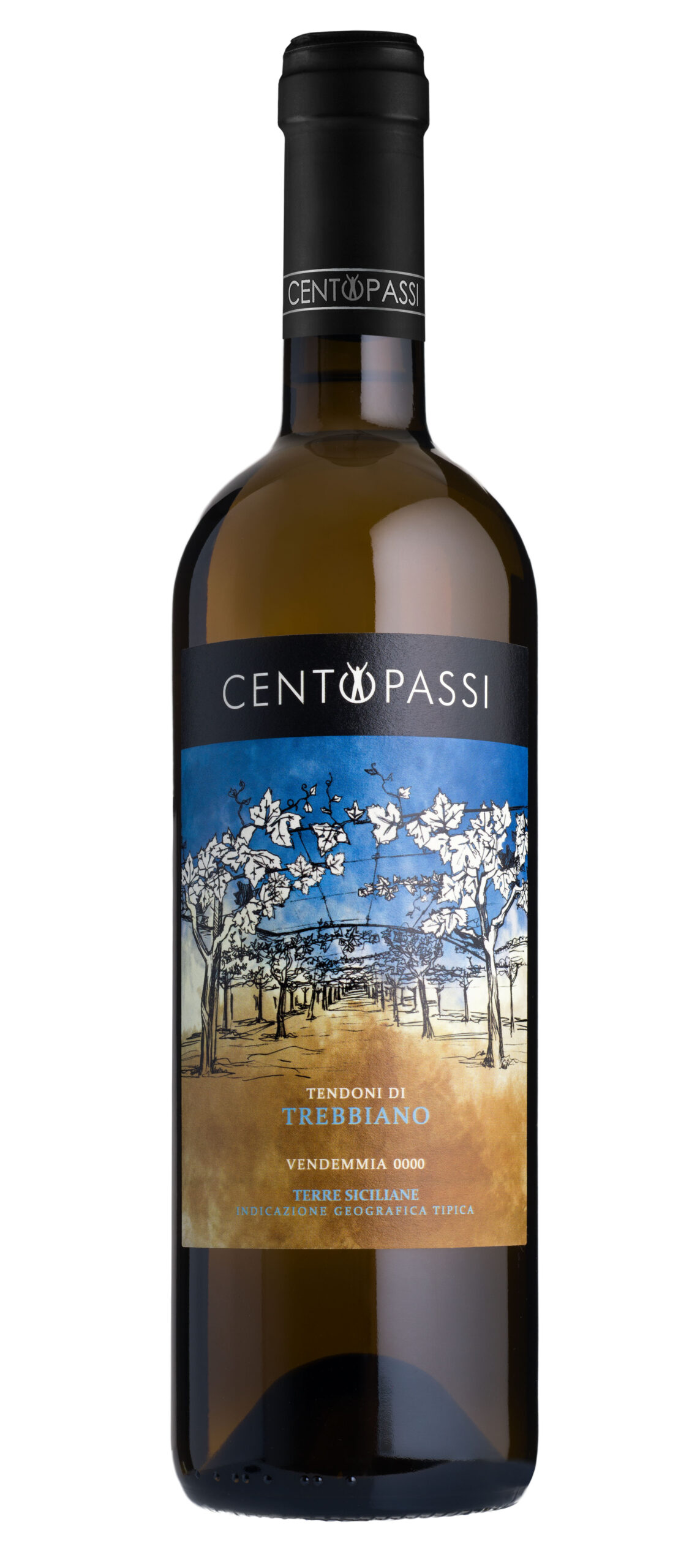 TREBBIANO